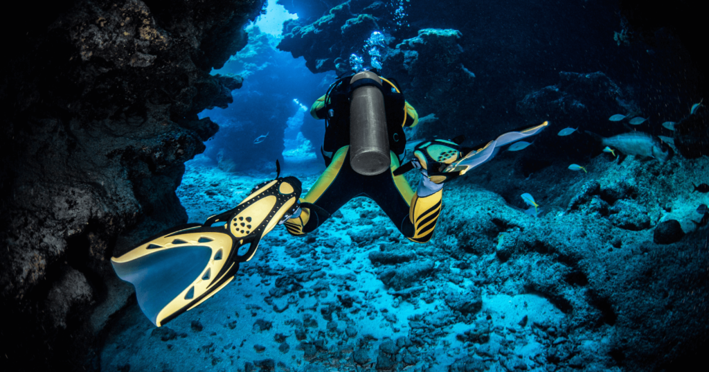 The Island Deep Dives