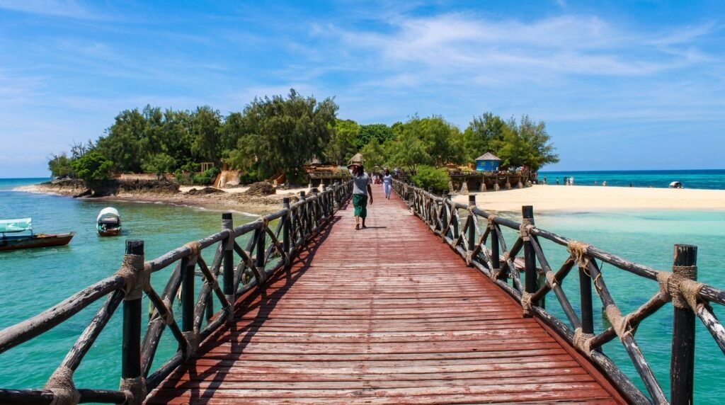 Traveler interacting with a giant Aldabra tortoise on Prison Island Zanzibar with turquoise ocean and white sand beach behind